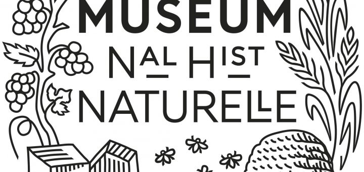 Museum histoire naturel