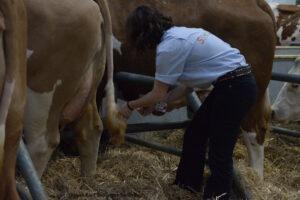 Salon De L'agriculture 04