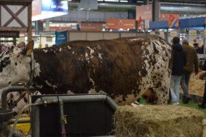 Salon De L'agriculture 09