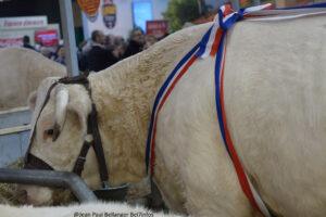 Salon De L'agriculture 16