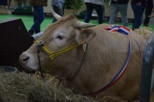 Salon De L'agriculture 19