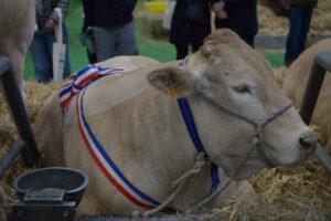 Salon De L'agriculture 20