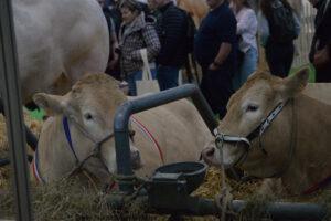 Salon De L'agriculture 22