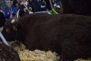 Salon De L'agriculture 28