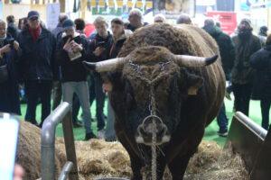 Salon De L'agriculture 30