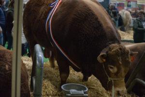 Salon De L'agriculture 32