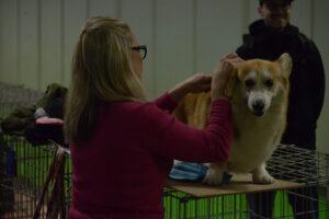 Salon De L'agriculture 35