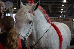 Salon International De L'agriculture 038