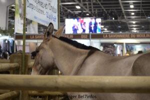 Salon International De L'agriculture 040